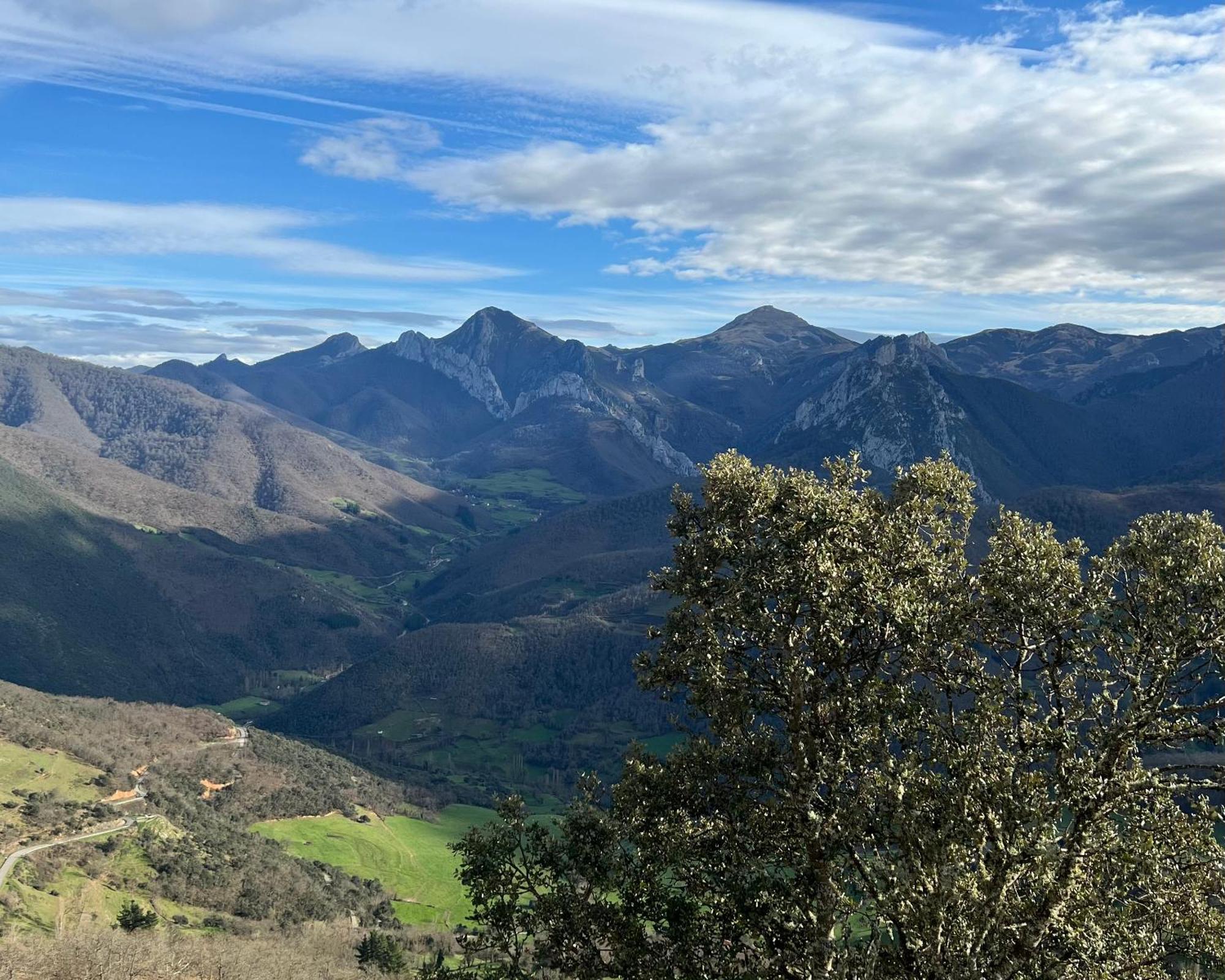 Las Casucas De Remona Espinama Exterior foto