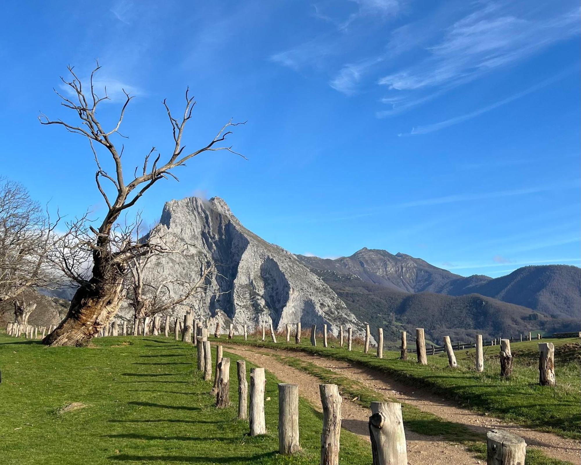 Las Casucas De Remona Espinama Exterior foto